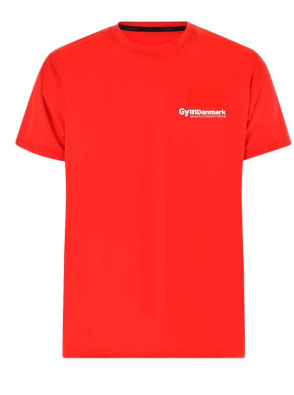 GymDanmark Training T-shirt | Men